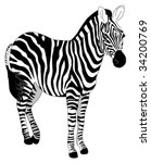 zebra | Shutterstock .eps vector #34200769