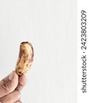 Small photo of Close up of hand holding almost rotten banana with brown and blackish skin texture. Small banana isolated on white background.
