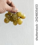 Small photo of A man's hand holds a bunch of grapes that are starting to rot with slightly blackish skin. on a white background