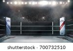 Boxing Arena With Blurred...