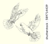 Soaring White Pigeons. Engraved ...