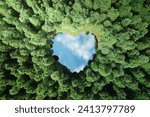 top view of a forest with a heart-shaped lake and pier with boat. 3d rendering