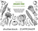 vegetables hand drawn... | Shutterstock .eps vector #2149924639