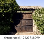 Small photo of Ivy (Hedera), lilies (Iris) and celinda (Philadelphus coronarius) frame a wooden gate with a roof in the patio of a town house.