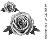 Roses flowers clip art  set of...