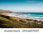 Misty Cliffs Beach Scenery with waves