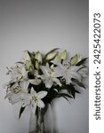 Small photo of White lilias in a white background in a tall glass vase, flower buds, lilies buds, white and green flowers
