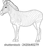 zebra illustration  realistic...