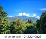 Majestic view of beautiful lush green valley with trees and colorful grass against picturesque high