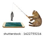 The Beige Cat Fisher With A Rod ...