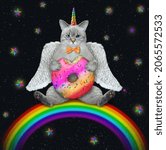 Small photo of An ashen cat unicorn with wings sits on a rainbow and eats a donut at night.