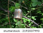 An empty tin can after food, thrown in the bushes in forest