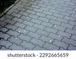 Cobblestone pavement with chewing gums stuck to it