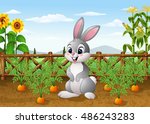 Cartoon Rabbit With Carrot...