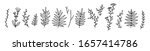 set of hand drawn line twigs.... | Shutterstock .eps vector #1657414786