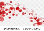 flying red rose petals on a... | Shutterstock .eps vector #1104404249