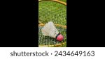 Small photo of Experience the thrill of a badminton rocket in action, poised for a powerful serve or a lightning-fast smash, capturing the intensity and excitement of the game. Perfect for illustrating sportsmanship