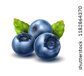 Vector Realistic Raw Blueberry...