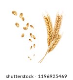 vector wheat ears spikelets... | Shutterstock .eps vector #1196925469