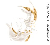 vector wheat ears spikelets... | Shutterstock .eps vector #1197791419