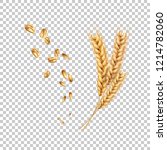 vector wheat ears spikelets... | Shutterstock .eps vector #1214782060
