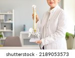 Small photo of Doctor at orthopedic clinic showing anatomical spine model. Cropped shot of happy woman in white lab coat holding model of human backbone. Medicine, posture, bone health concept. Medical background
