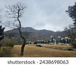 Small photo of Bum Au Temple in Busan Korea