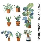 vector house plants in pots set.... | Shutterstock .eps vector #1685771569