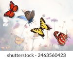 Vibrant four butterflies in...