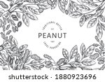 hand drawn peanut branch and... | Shutterstock .eps vector #1880923696