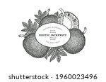 hand drawn sketch style... | Shutterstock .eps vector #1960023496