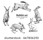Set Of Hand Drawn Rabbit...