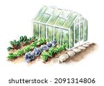 Garden Greenhouse  Vegetable...