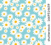 daisy flower seamless pattern... | Shutterstock .eps vector #1669514659