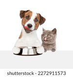 Small photo of Licking lips Jack russell terrier puppy holding empty bowl above empty white banner near tiny kitten. isolated on white background