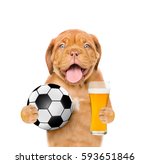 Funny Puppy Holding A Soccer...