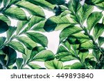 Green Leaf Pattern On The...