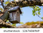 Birdhouse On Tree At Springtime....