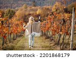 Small photo of Woman with poncho and hat enjoying white wine in her vineyard at autumn. Happy vintner drinks wine after successful grape harvesting
