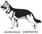 german shepherd dog breed...