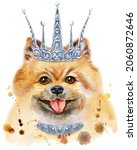Cute Dog With Silver Crown. Dog ...