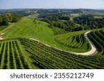 Small photo of Beautiful green rows of vine in vineyards of Strigova, situated on Maderka hill near the border with Slovenia, in northern Croatian region of Medimurje on a sunny summer day