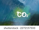 Problems and solutions of CO2 emission. Pure life in the mountains — protecting nature for future generations.