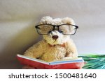 The Cute Teddy Bear Is Reading...