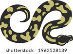 top view of ball python simple... | Shutterstock .eps vector #1962528139