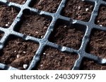 Small photo of Plastic reusable seed tray for planting seeds with fertile soil, peat in cells. Preparing to planting seeds or seedling transplant. Gardening and floriculture concept. Background. Close up.
