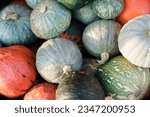 Different pumpkins and squash. Autumn harvest on farm market, outdoor local shop. Types of unusual colorful homegrown vegetables, Hubbard, Red Kuri, Kabocha on countryside fall store