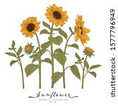 sketch floral botany collection.... | Shutterstock .eps vector #1577796949