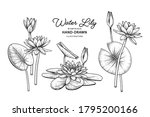 sketch floral decorative set.... | Shutterstock .eps vector #1795200166