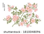sketch floral decorative set.... | Shutterstock .eps vector #1810048096